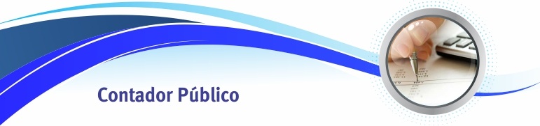 Contador Público